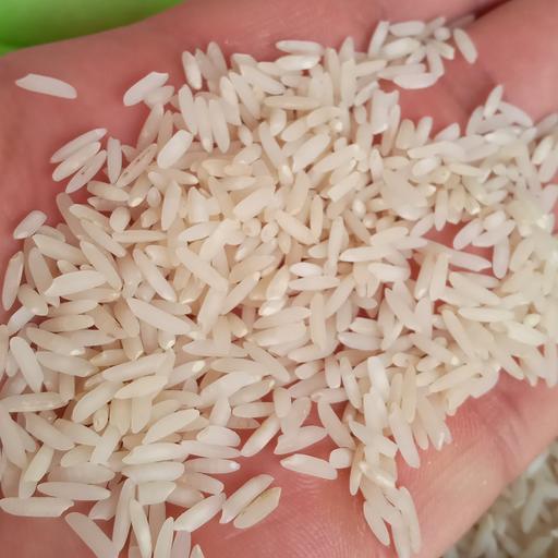 برنج ایرانی کشت دوم دونوج(10کیلوگرم)