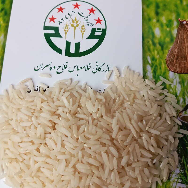 برنج ایرانی  طارم محلی کشت اول فریدونکنار مارک غلامعباس فلاح وپسران 50کیسه (500 کیلوگرم)
