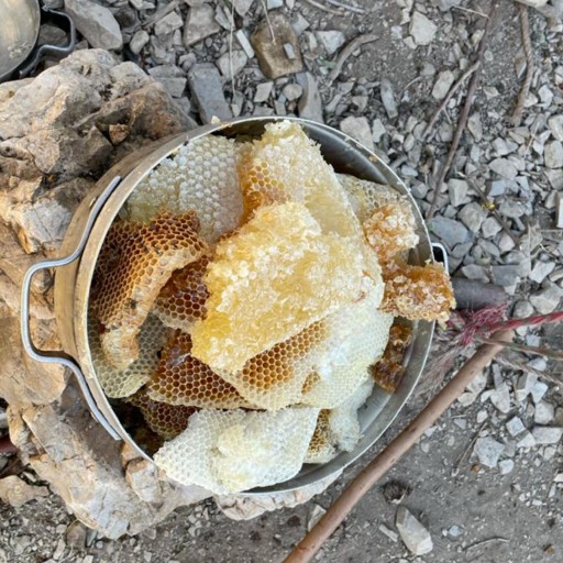 عسل طبیعی تاپو از کوه های زاگرس یک کیلویی