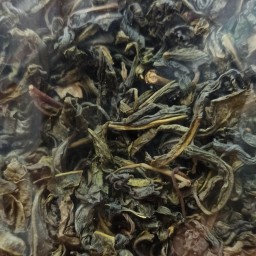 چای سبز طبیعی لاهیجان   نیم کیلویی محصول 1402