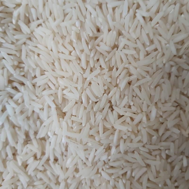 برنج فجر تالش (امساله)( یک کیلویی)