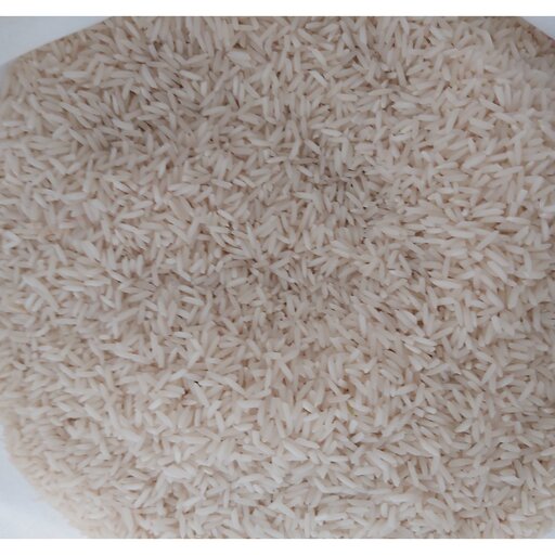 برنج شیرودی گیلان (خوشپخت)(پارساله) (10کیلویی)