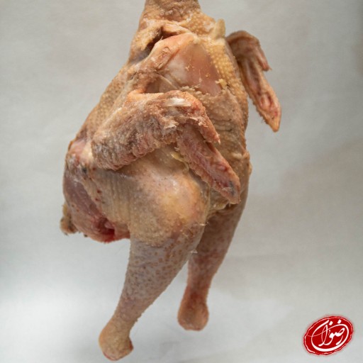 مرغ روستایی گلپایگانی ارگانیک منجمد و بدون پر ( کیلویی )