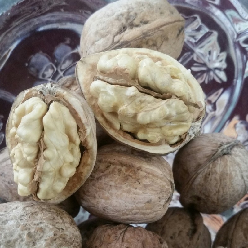 گردو تازه