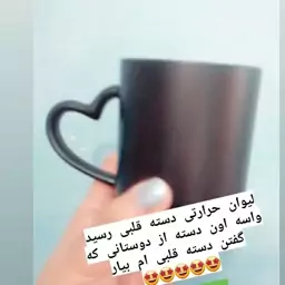 ماگ حرارتی (لیوان سوپرایز)