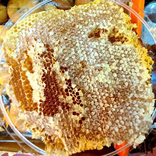عسل خوی با موم طبیعی (1کیلویی) ارسال با پیک موتوری
