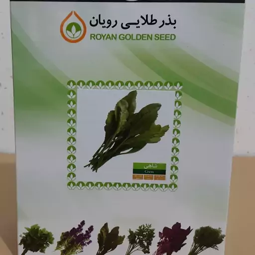 بذر شاهی بذر طلایی رویان (یک بسته)