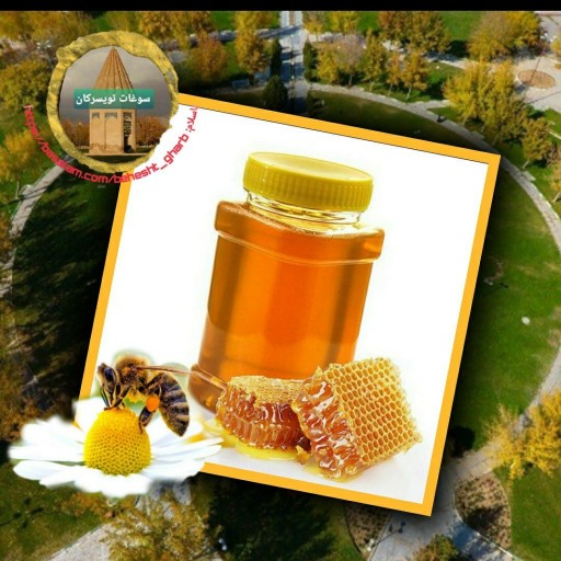 عسل طبیعی مستقیم از زنبوردار(نیم کیلو)ارسال رایگان