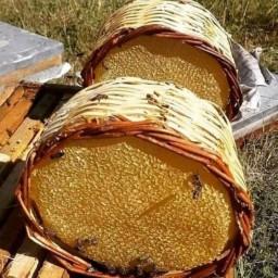عسل سبدی کاملا خود بافت و طبیعی