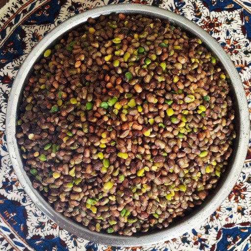 مغز بنه پسته کوهی (تازه روزشکن مستقیم از کارگاه)- 200 گرم