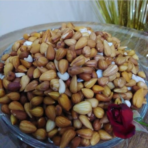 مغز بادام کوهی نمکی و مرطوب(100گرمی) پارسین (الوک،بخورک،پاسورک) (تستر)