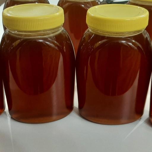 عسل طبیعی چند گیاه ساکاروز2درصد یا زیر 2  ارسال رایگان به سراسر کشور