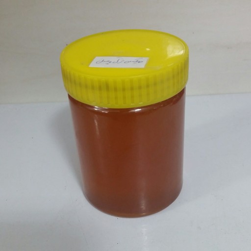 ژل رویال (25 گرم در نیم کیلو عسل دیابتی)