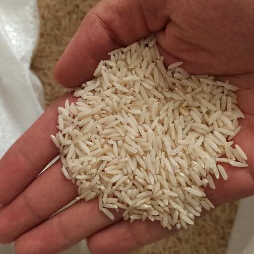 برنج هاشمی گیلان فوق اعلا  آستانه اشرفیه 20 کیلویی