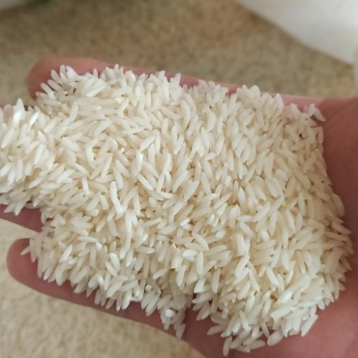 برنج هاشمی خالص آستانه اشرفیه
