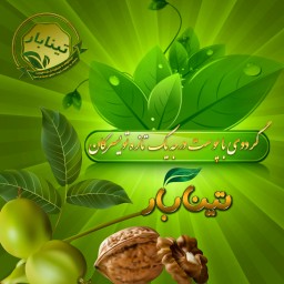 گردو با پوست تویسرکان  یک کیلویی تینابار