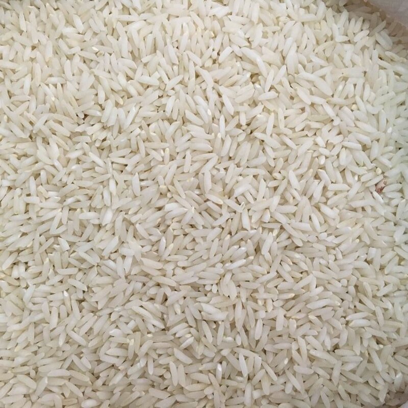 برنج طارم محلی امساله آستانه اشرفیه 10 کیلویی(تضمین کیفیت)