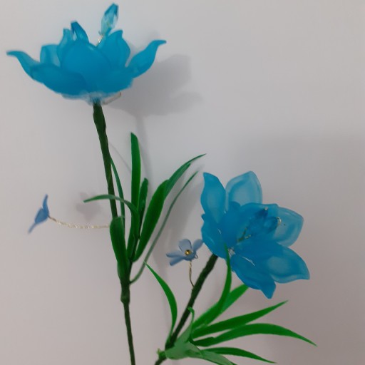 گل رز کلوعه آبی