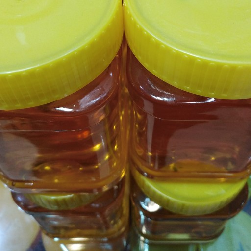 عسل طبیعی بهارنارنج(مرکبات)