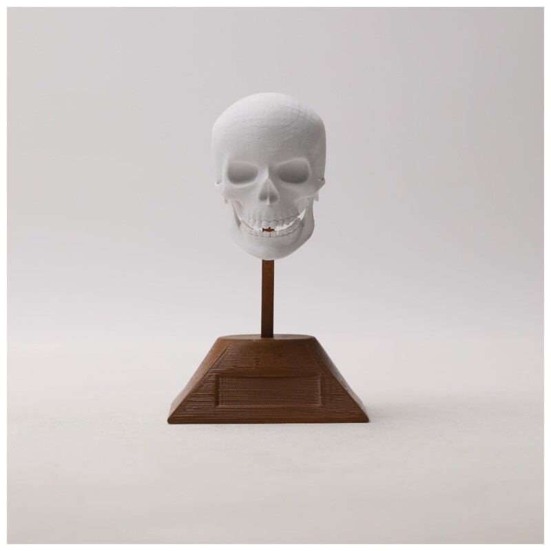 مجسمه طرح جمجمه مدل skull02 