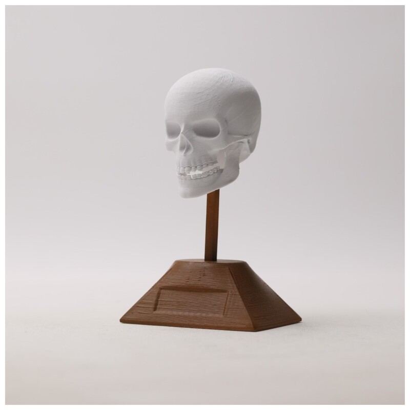 مجسمه طرح جمجمه مدل skull02 