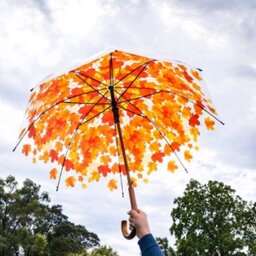 چتر پاییزی نارنجی-چتر طرح برگ نارنجی-چتر برگ آتشین-چتر قارچی برگ