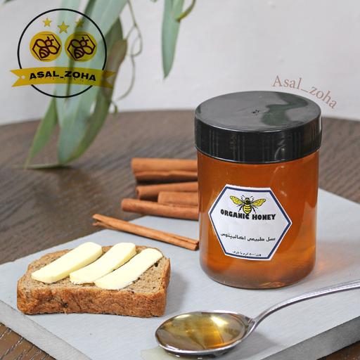 عسل طبیعی اکالیپتوس (500 گرم) صد در صد طبیعی و آنالیز شده،با کیفیت بسیار اعلا 