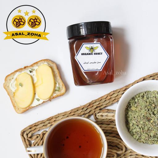 عسل طبیعی اویشن b(500 گرم) صد در صد طبیعی و آنالیز شده، از ارومیه و تبریز،،، کیفیت اعلا و مطلوب 