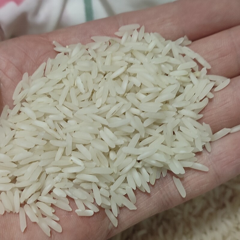برنج خوشپخت  مخصوص(10کیلویی)ارسال رایگان .هایپرلند