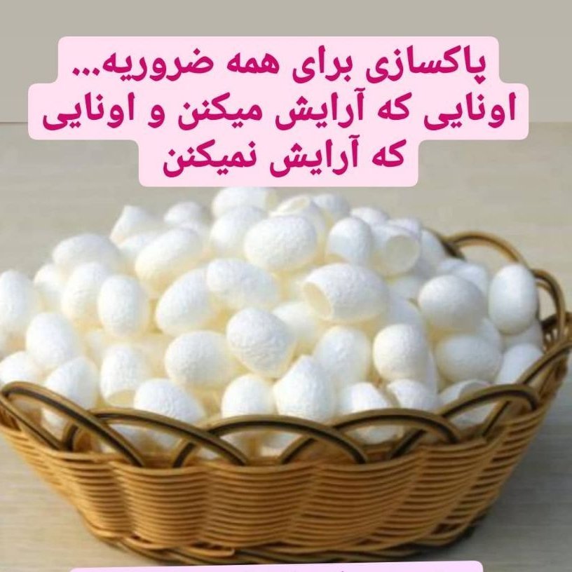 پیله ابریشم