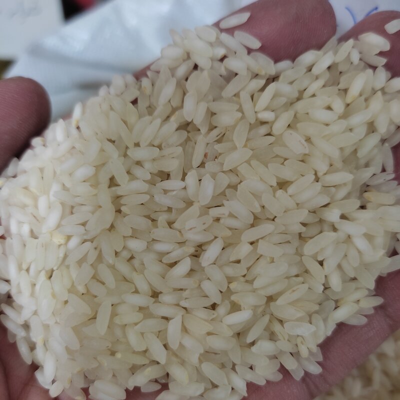 برنج معطر عنبربو  درجه 1 و یکدست 