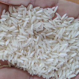 برنج فجر ( 20 کیلویی)