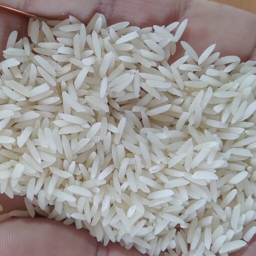 برنج فجر ( 20 کیلویی)