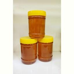 عسل گون اعلا درجه یک نیم کیلویی محصول ارتفاعات خراسان 