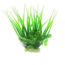 گیاه آکواریوم تزیینی لحظه مدل جلبک افشون رنگ سبز چمنی