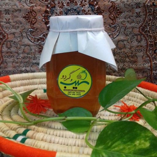 عسل طبیعی گون گز درجه یک محصول دامنه کوه های نهاوند بسته بندی 500 گرمی خ