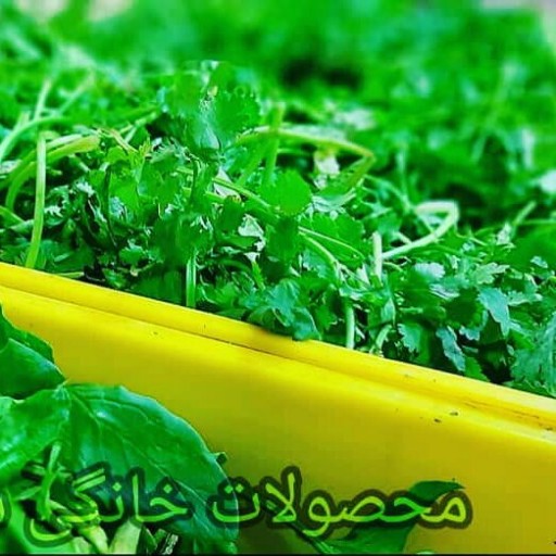 سبزی تازه خرد شده (پلو)