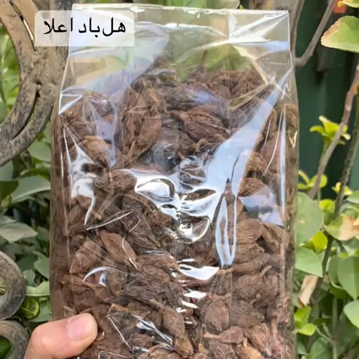 هل باد اصلی درجه یک درشت (محصول جدید)آقای زعفران