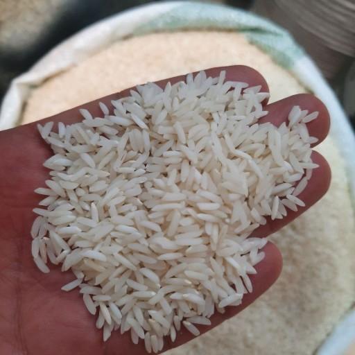 برنج محلی طارم لاریم ارسال رایگان به سراسر ایران