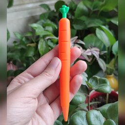 مداد نوکی (اتود) سبزیجات مدل هویج فانتزی، جایزه روز دانش آموز