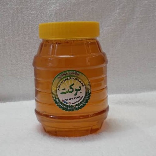 عسل طبیعی کنار برکت یک کیلویی (ارسال از انبار یکاسه تهران به سراسر کشور)