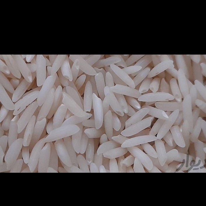 برنج طارم هاشمی معطر گیلان (5کیلو)