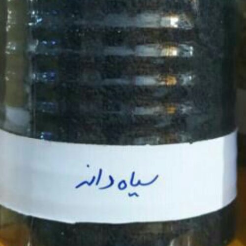 سیاه دانه