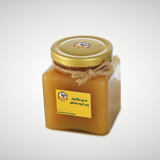عسل ارگانیک رس بسته چند گیاه دیابتی کوهستان خلخال (480 گرم)