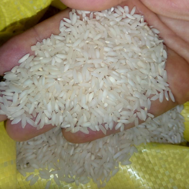  برنج عنبربو بسیار خوش عطر و خوش طعم ارسال رایگان