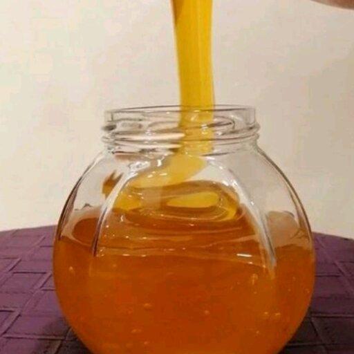 عسل چهل گیاه کوه های زاگرس تضمین کیفیت(1000 گرم)