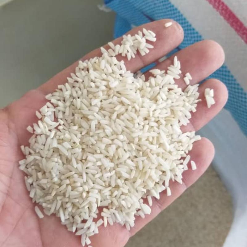 برنج  لاشه(نیم دانه درشت)  معطر  هاشمی صدری 10 کیلویی ارسال رایگان