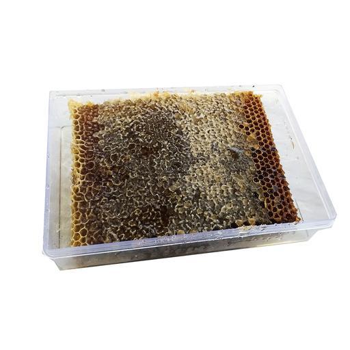عسل طبیعی شان (تغذیه ای-900 گرمی)