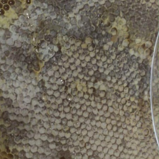 عسل طبیعی آذربایجان داخل موم درجه یک
