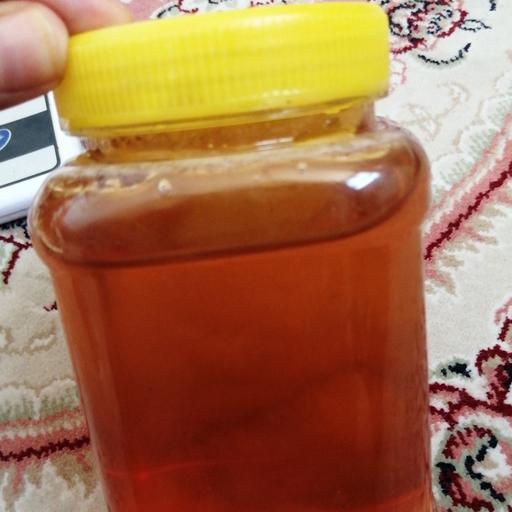 عسل طبیعی گون یک کیلویی(مستقیم از زنبور دار) 